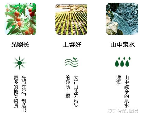 河北畫冊印刷基地