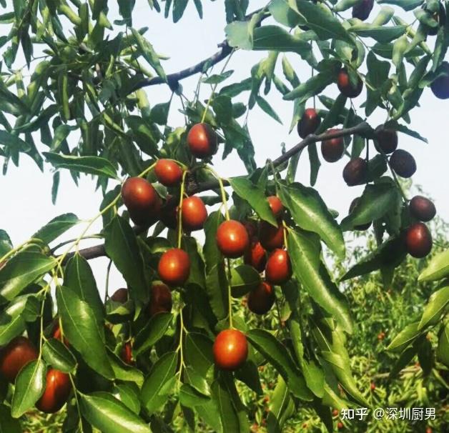 河北畫冊印刷基地