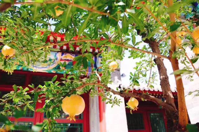 北京教育機構招生簡章印刷